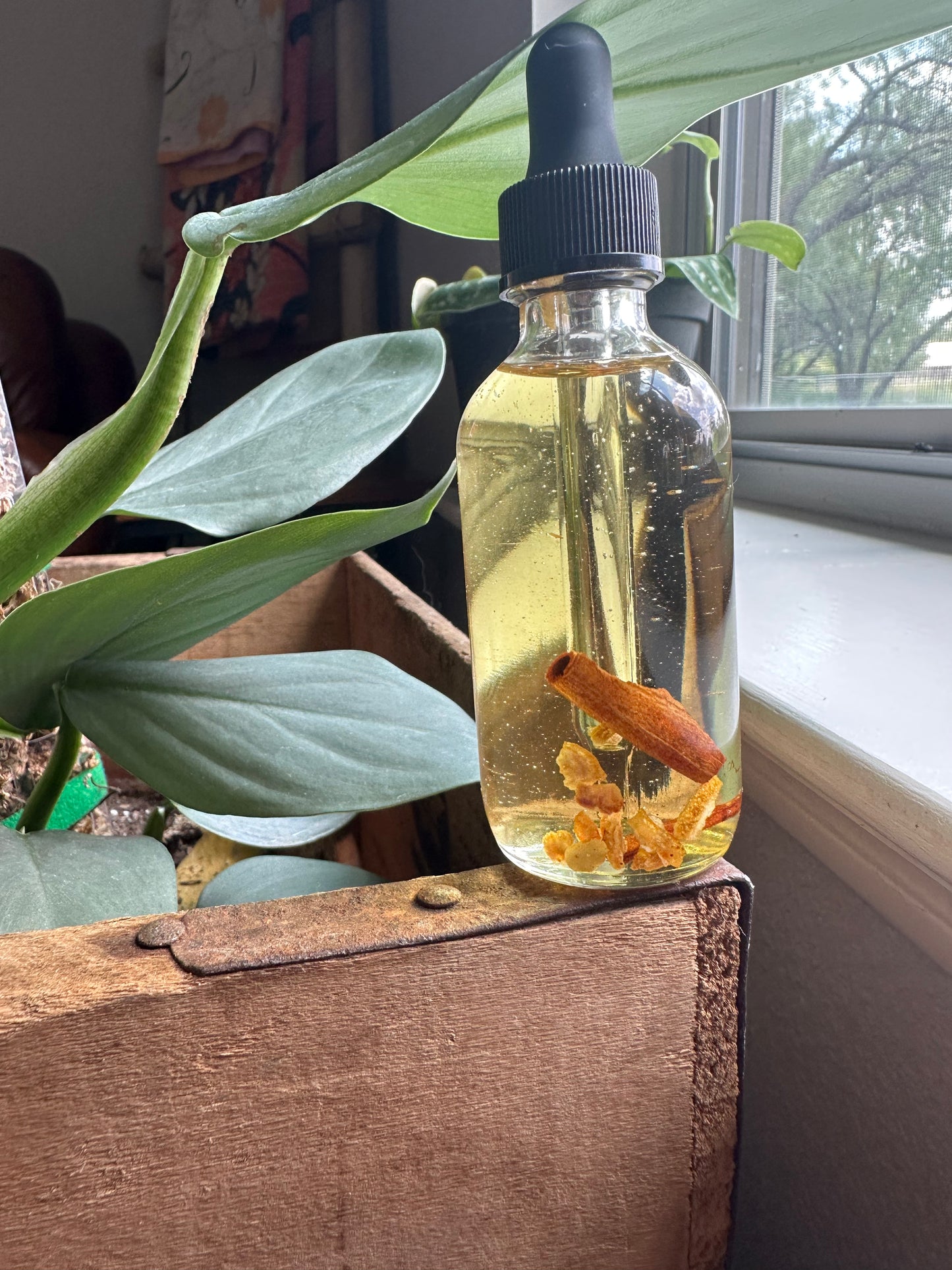 Wildwood Spice